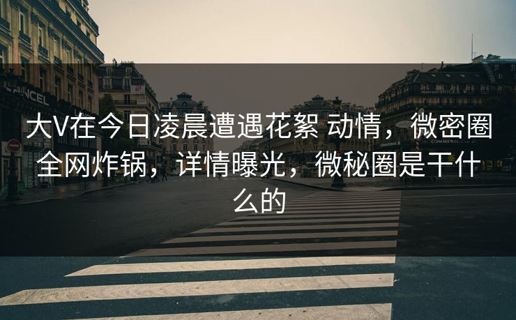 大V在今日凌晨遭遇花絮 动情，微密圈全网炸锅，详情曝光，微秘圈是干什么的