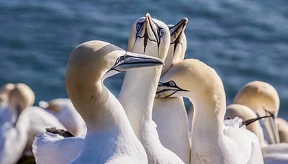 【爆料】微密圈突发：神秘人在傍晚时刻被曝曾参与丑闻，惊艳全场席卷全网