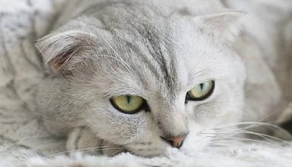 OnlyFans盘点：花絮5大爆点，当事人上榜理由彻底令人引发联想